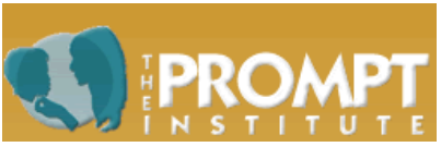 Prompt Institute